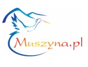 Miasto i Gmina Muszyna
