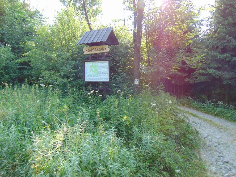 Uhryński Stream - geological path in Beskid Sądecki